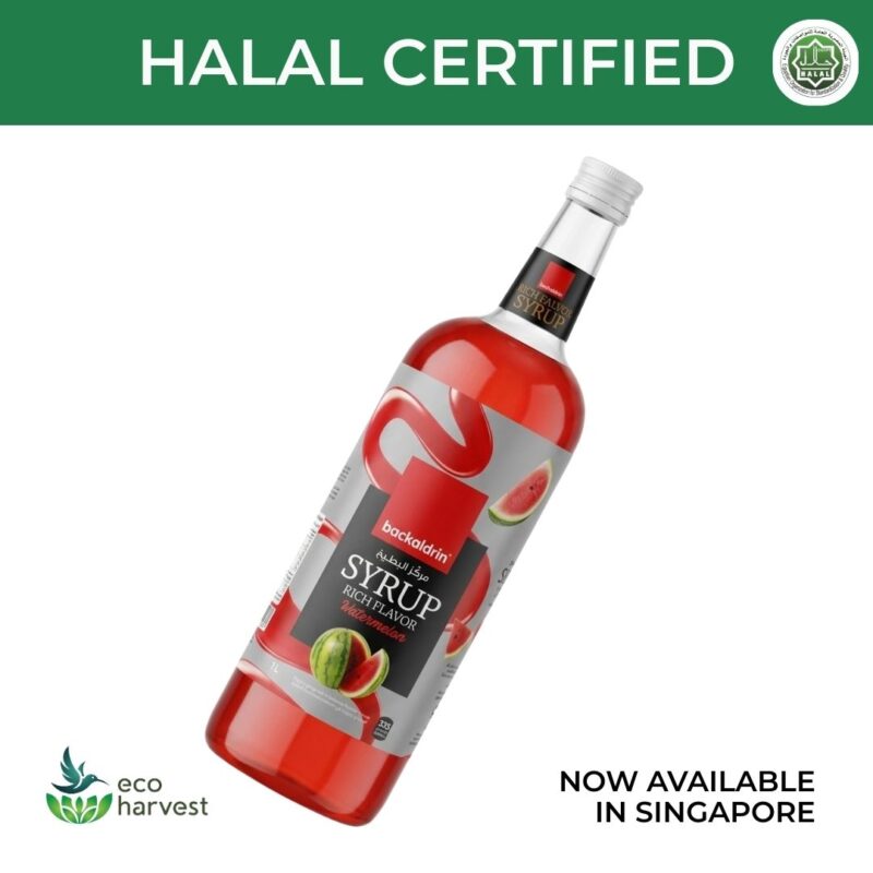 8 Backaldrin Watermelon Syrup 1L